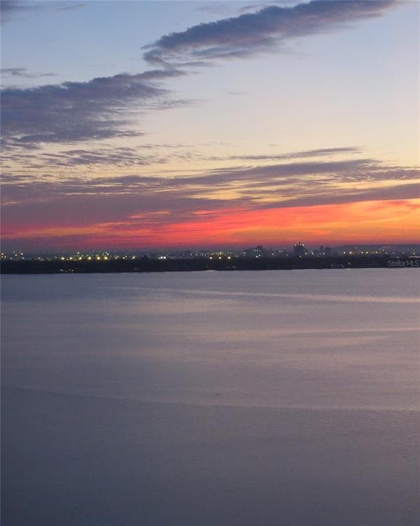 2611 BAYSHORE BOULEVARD UNIT 507 TAMPA, FL 33629