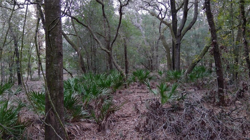 0 TOMBSTONE STREET WEBSTER, FL 33597