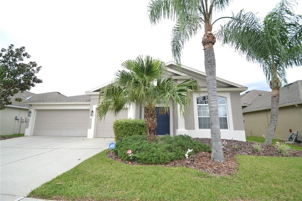 31117 CREEKRIDGE DRIVE WESLEY CHAPEL, FL 33543