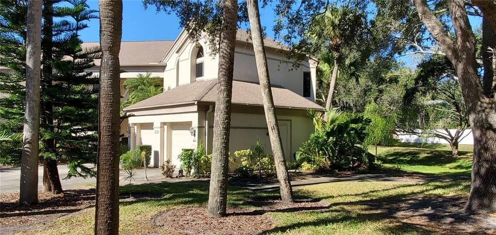 3636 OAK HAVEN DRIVE UNIT 203 PALM HARBOR, FL 34684