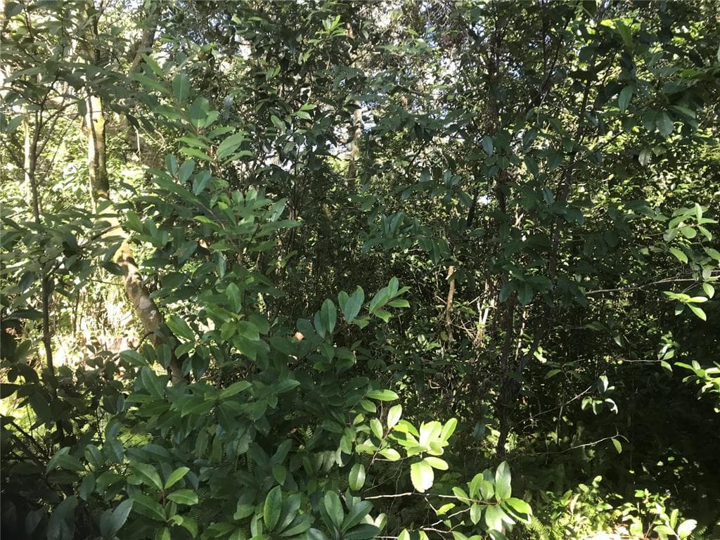 ROBSON SEFFNER, FL 33584