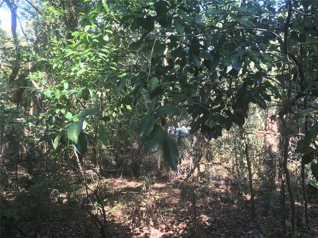 1029 ROBSON AVENUE SEFFNER, FL 33584
