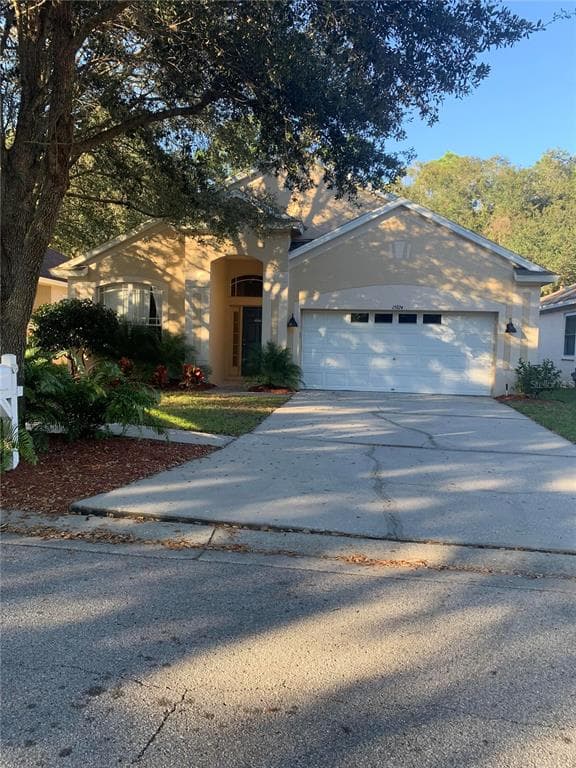 15924 STAGS LEAP DRIVE LUTZ, FL 33559
