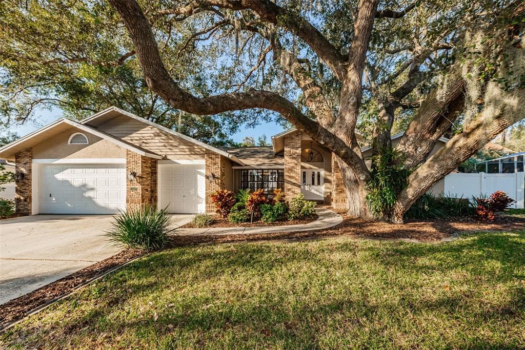 2129 COLUSA COURT PALM HARBOR, FL 34683