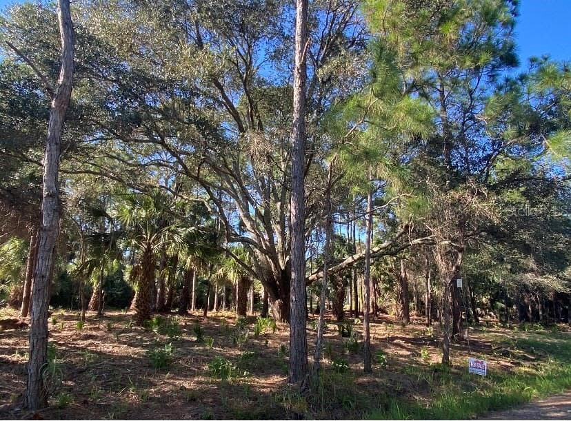 3278 SE JARED AVE PALM BAY, FL 32909