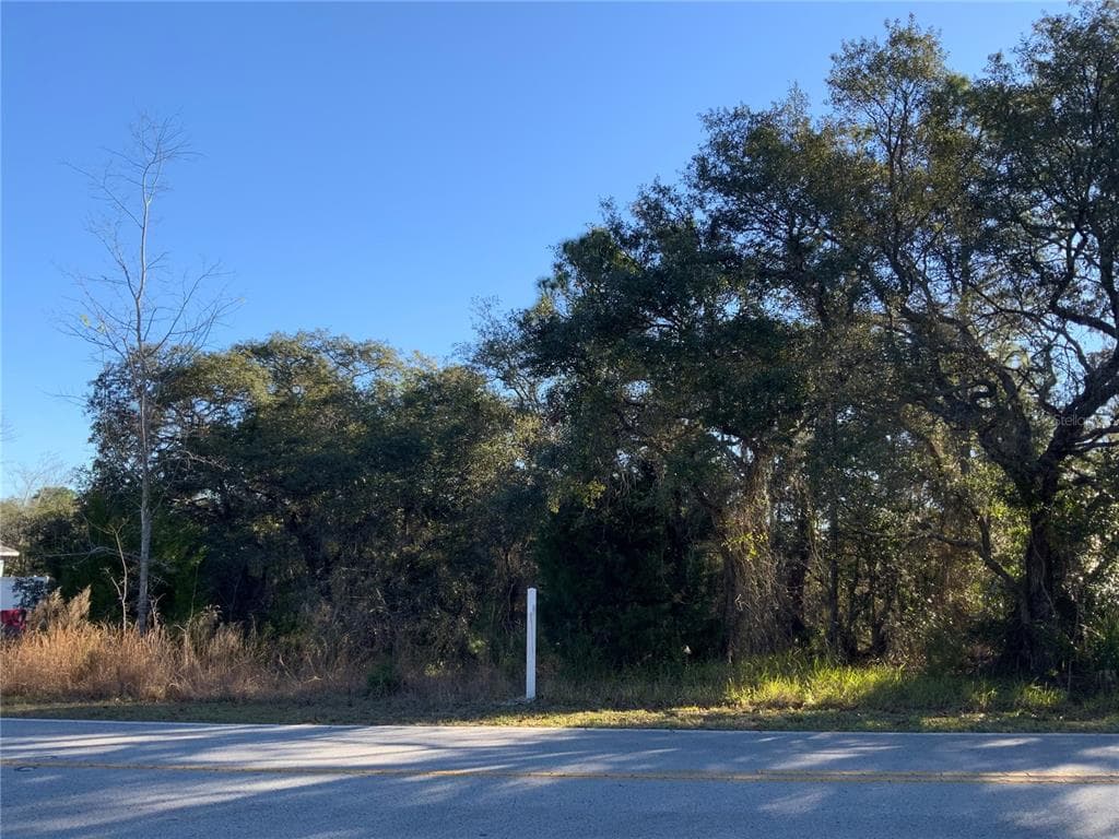 8372 NIGHTINGALE ROAD WEEKI WACHEE, FL 34613