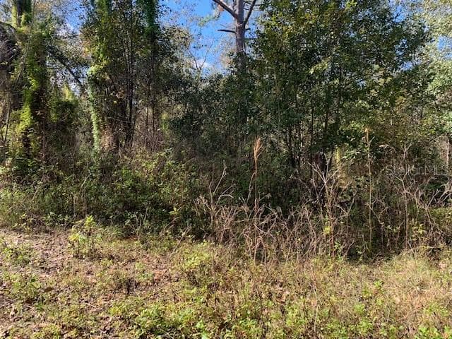 Lot 17 LAKE HILLS DRIVE RIVERVIEW, FL 33569