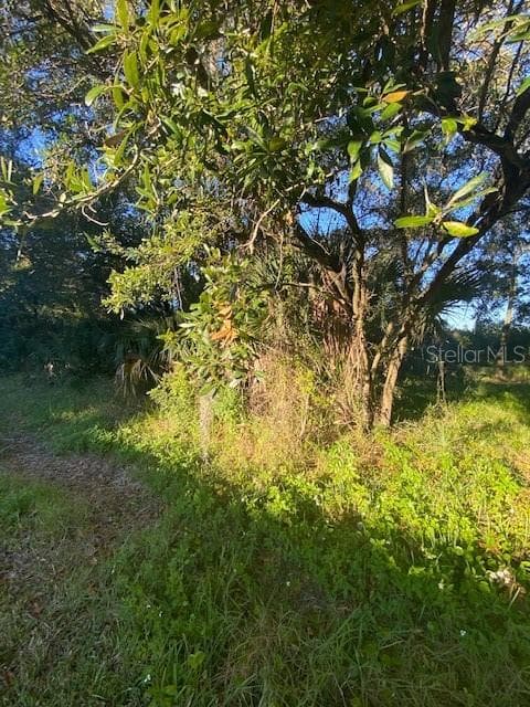 PHOENIX AVENUE OLDSMAR, FL 34677