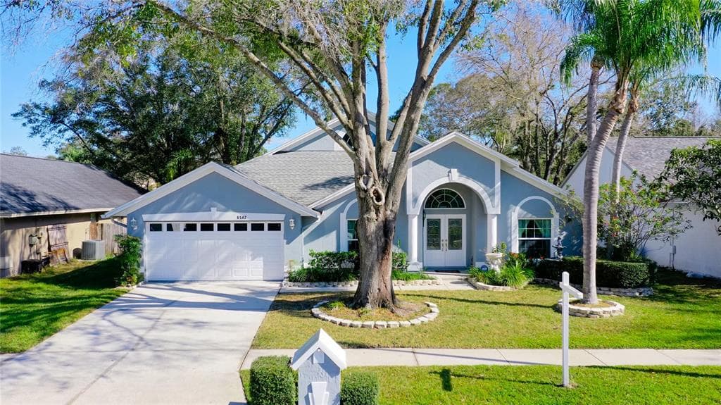 6542 STEEPLECHASE DRIVE TAMPA, FL 33625