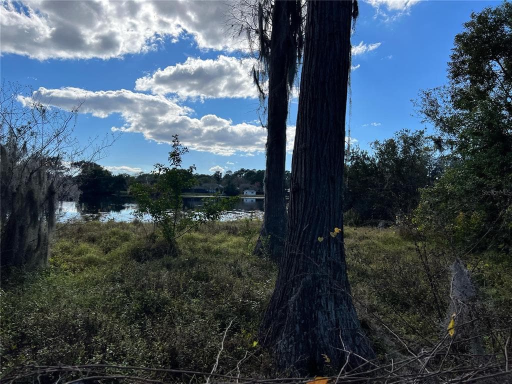 7212 CYPRESS LAKE DRIVE ODESSA, FL 33556