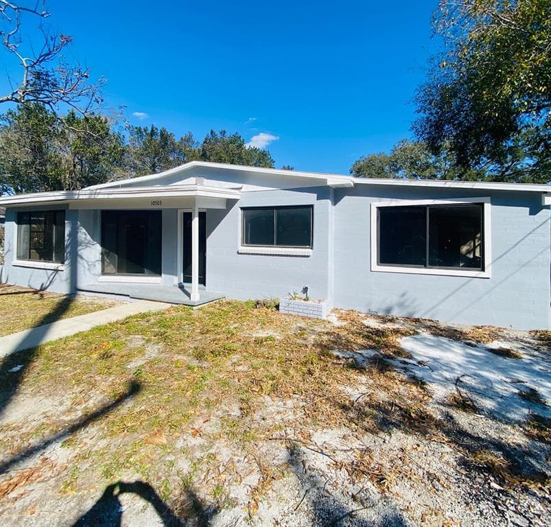 10503 N BOULEVARD TAMPA, FL 33612