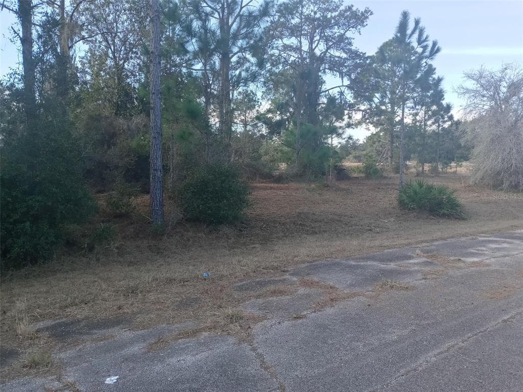 361 BASS COURT POINCIANA, FL 34759