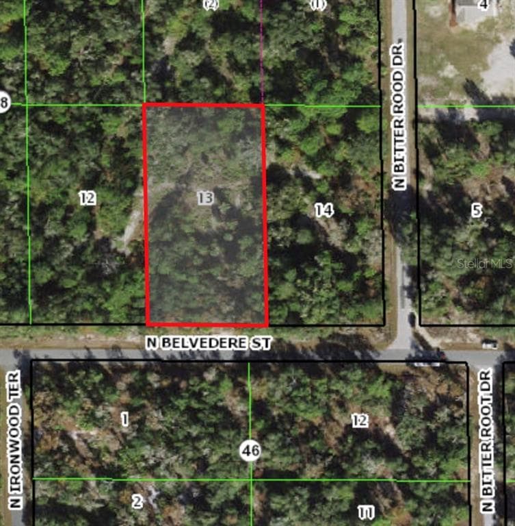 11683 W BELVEDERE STREET CRYSTAL RIVER, FL 34428