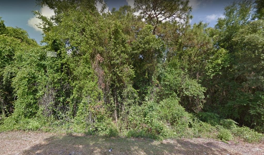 11405 E TRAILS END ROAD FLORAL CITY, FL 34436