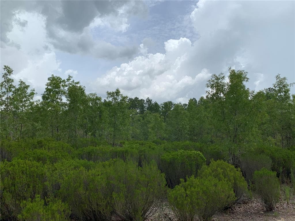 0 NE 56TH STREET BRONSON, FL 32621