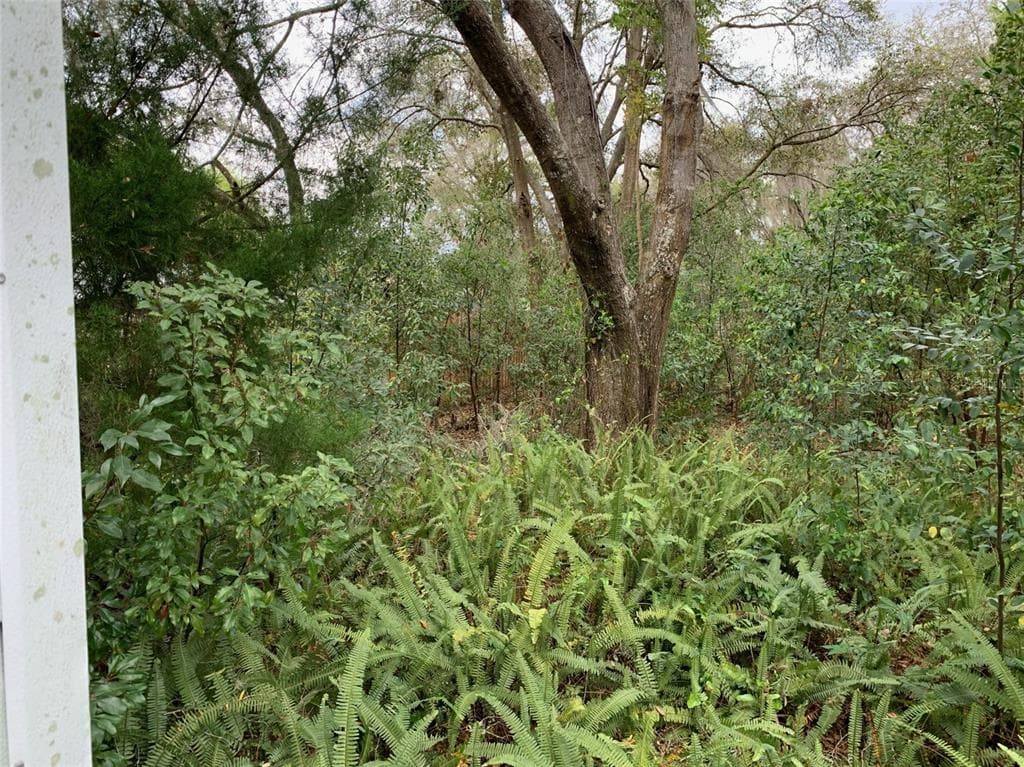 LOPER STREET YALAHA, FL 34797