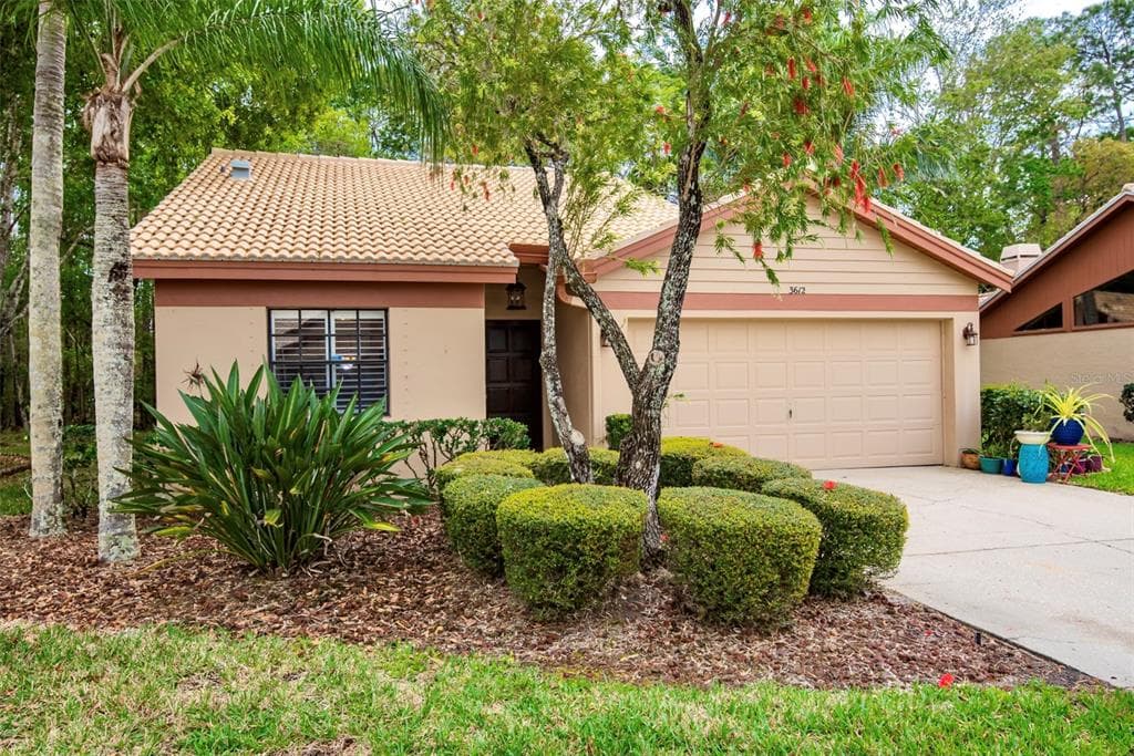 3612 DARSTON STREET PALM HARBOR, FL 34685