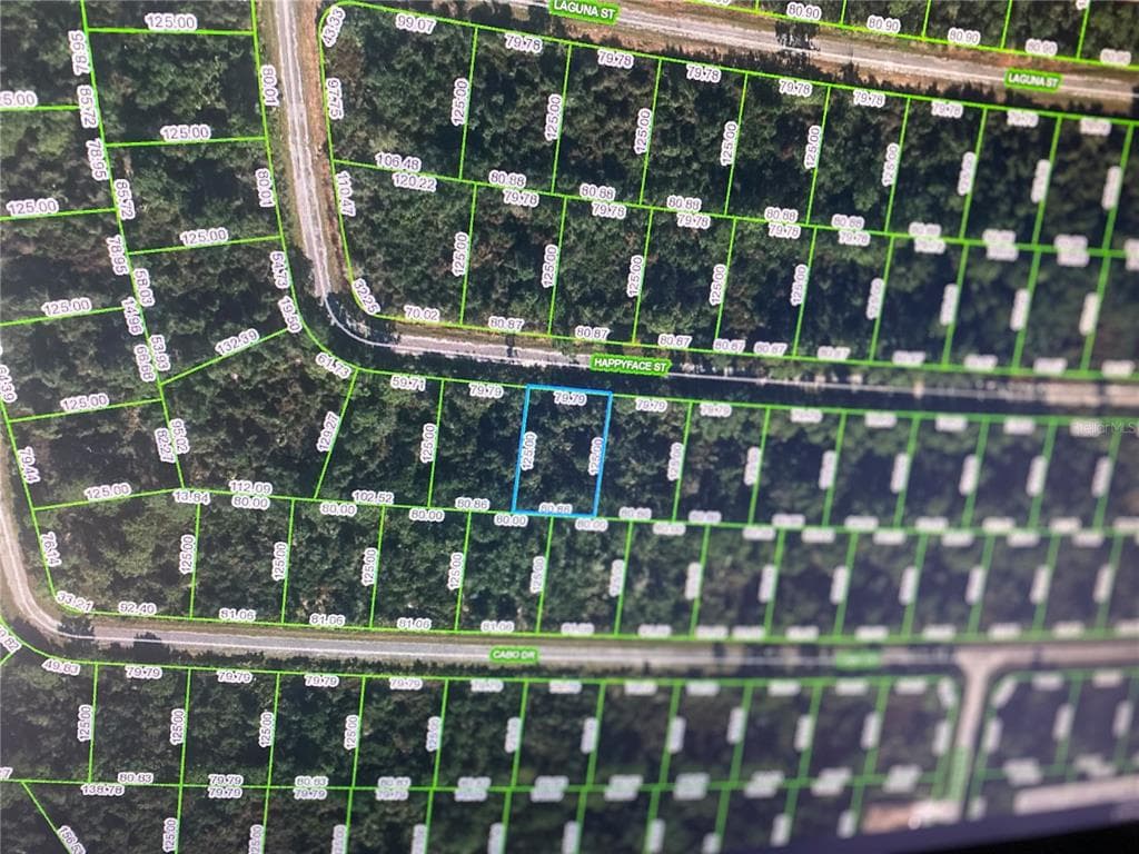 7389 HAPPYFACE STREET SEBRING, FL 33872