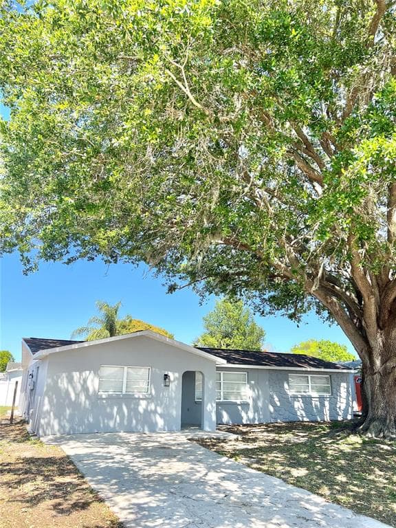 6307 BANDURA AVENUE NEW PORT RICHEY, FL 34653