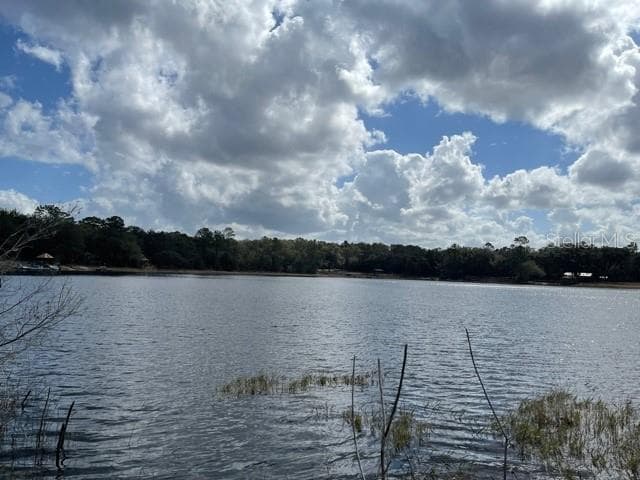 109 WILLOW LANE HAWTHORNE, FL 32640