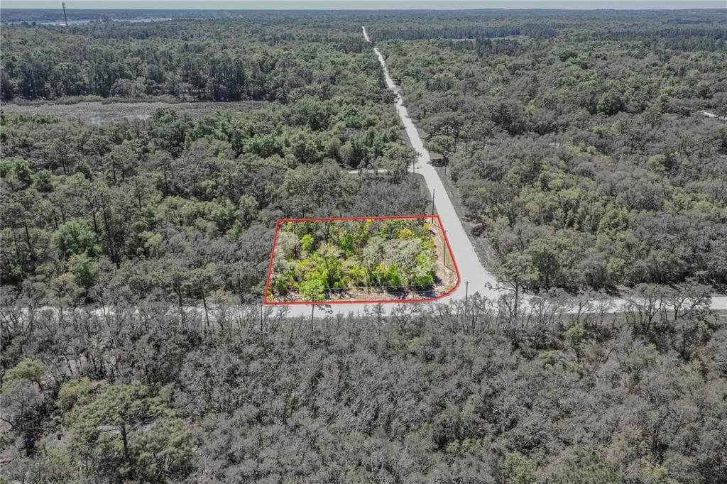PRIMROSE LANE WEBSTER, FL 33597