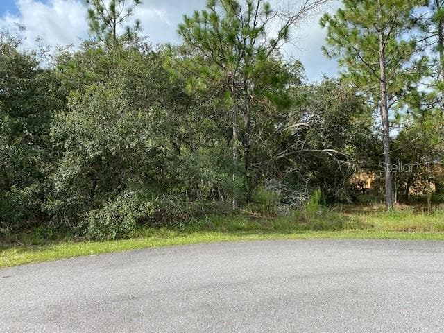 Lot 5 MALEO ROAD WEEKI WACHEE, FL 34614