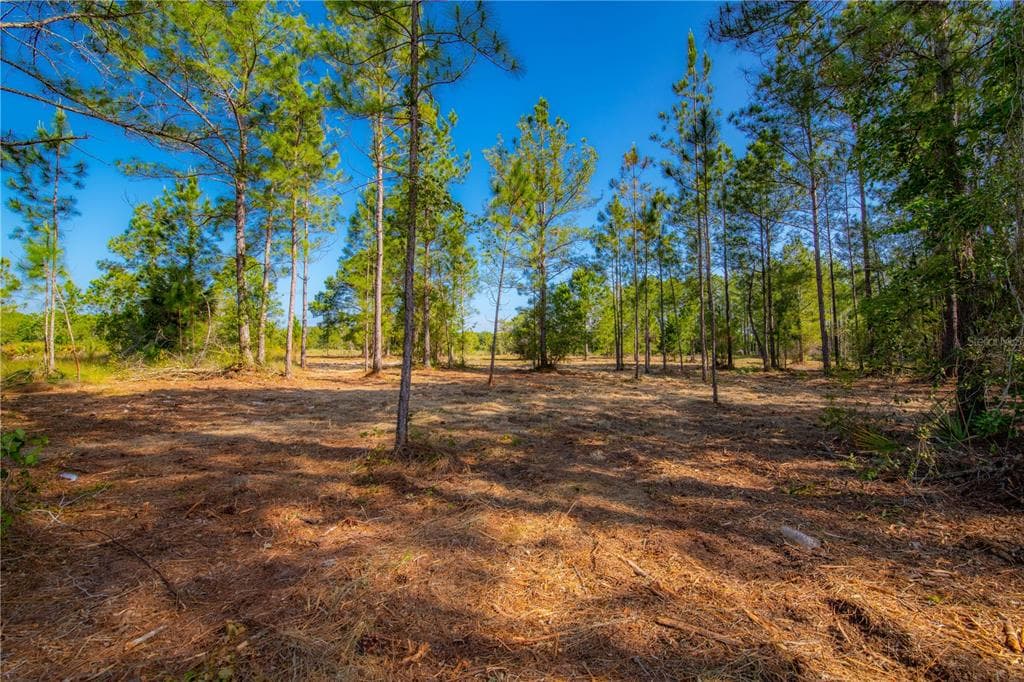 7133 OTTER DRIVE WEBSTER, FL 33597