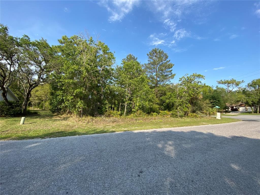 2 BIRCHTREE STREET HOMOSASSA, FL 34446