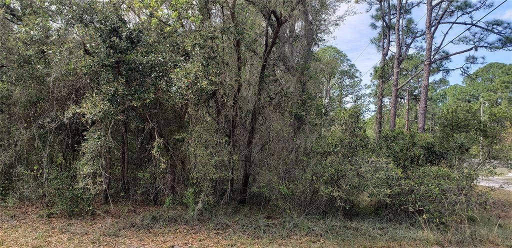 420 WASHINGTON BLVD LAKE PLACID, FL 33852