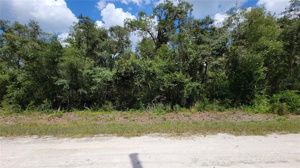 8008 N CANAL STREET WEBSTER, FL 33597