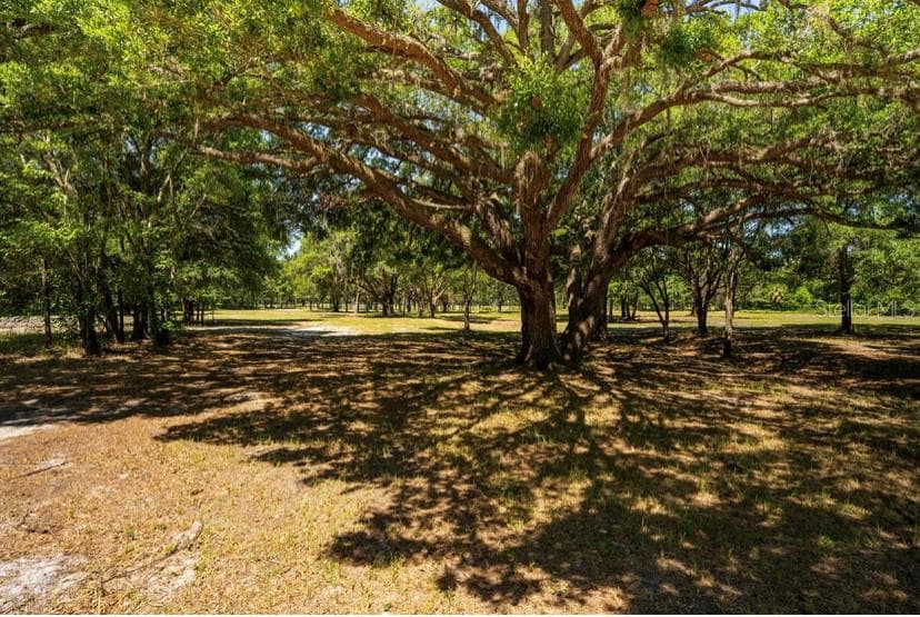 E MILLER ROAD DADE CITY, FL 33525