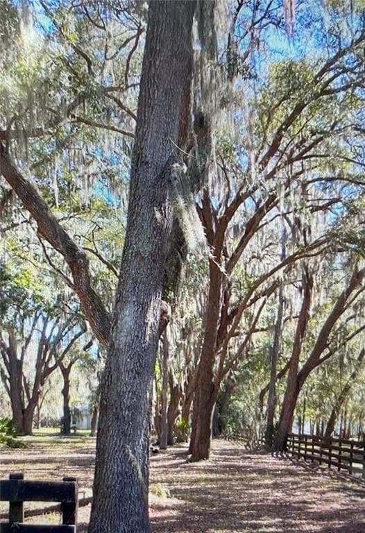 11803 DOG HOLLOW LANE LITHIA, FL 33547