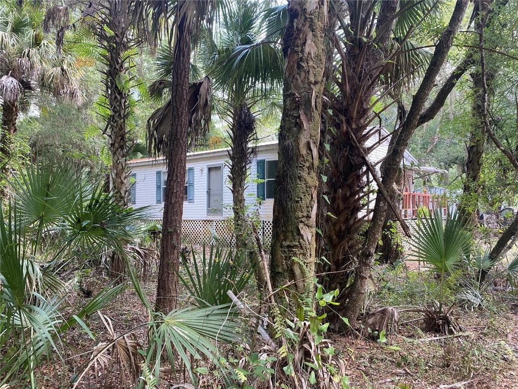745 N CABBAGE PALM STREET CLEWISTON, FL 33440