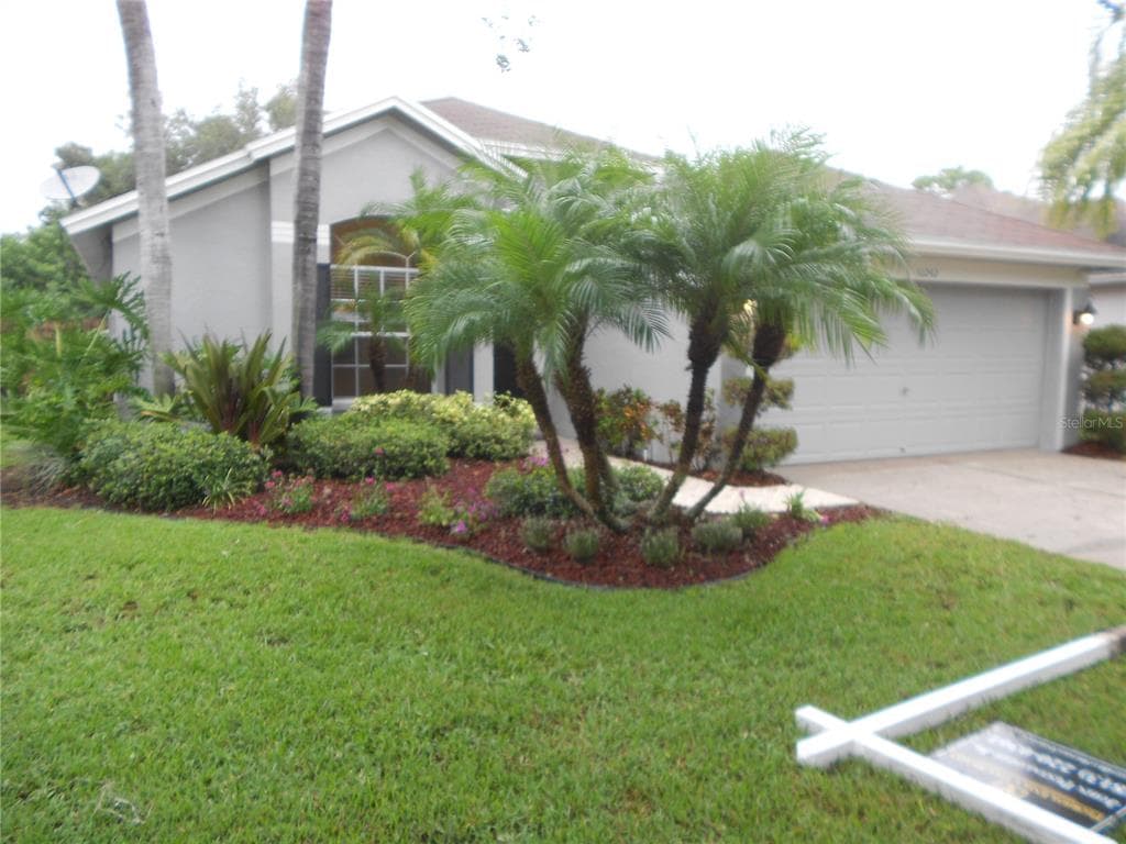 10242 OASIS PALM DRIVE TAMPA, FL 33615
