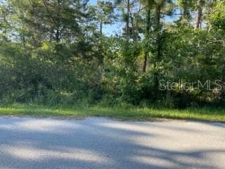 7685 W PEDERSEN LOOP HOMOSASSA, FL 34446