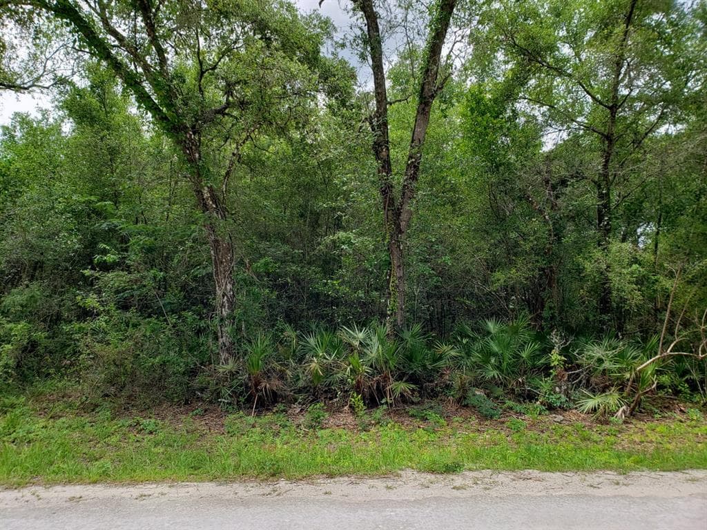 34284 SHAFFER DRIVE DADE CITY, FL 33523