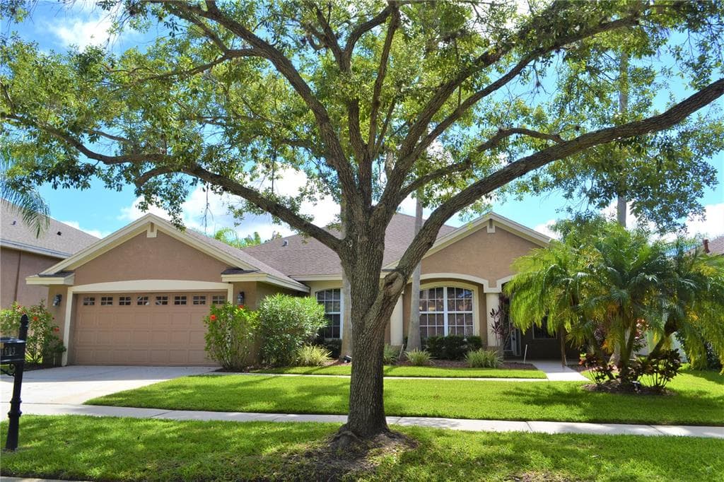 10603 TAVISTOCK DRIVE TAMPA, FL 33626