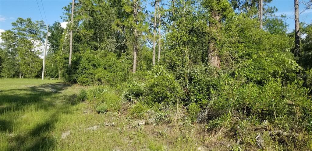 NW COUNTY ROAD 340 BELL, FL 32619