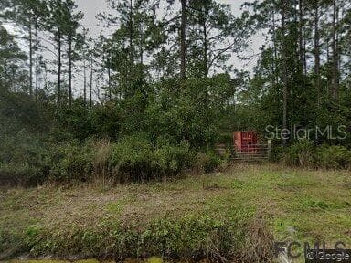 10625 AMOS AVENUE HASTINGS, FL 32145