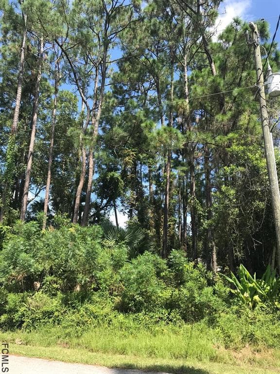 51 BARKLEY LANE PALM COAST, FL 32137