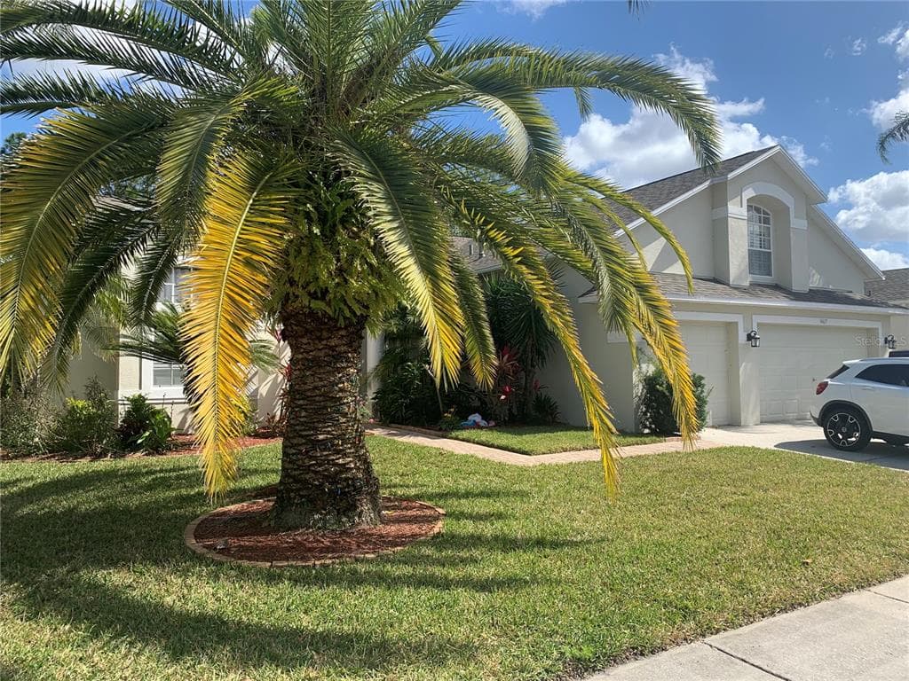 14617 CORAL BERRY DRIVE TAMPA, FL 33626