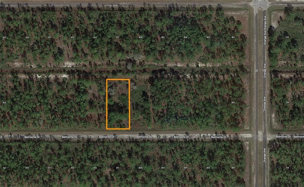 BELMONTE DRIVE INDIAN LAKE ESTATES, FL 33855