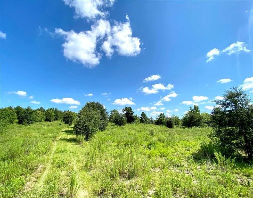 5672 S LECANTO HIGHWAY LECANTO, FL 34461