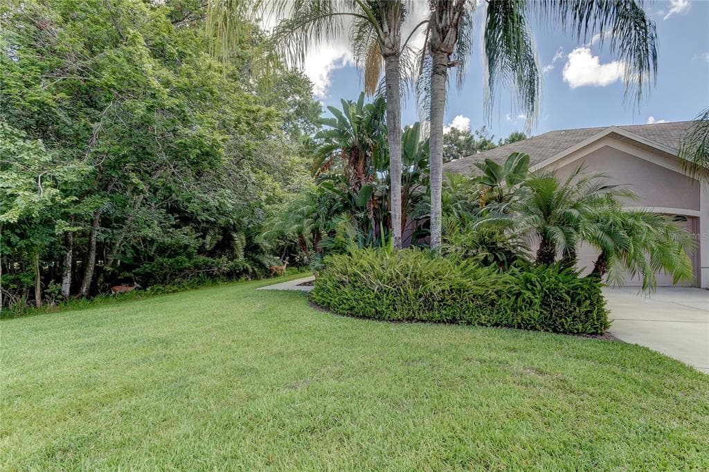16104 CRAIGEND PLACE ODESSA, FL 33556