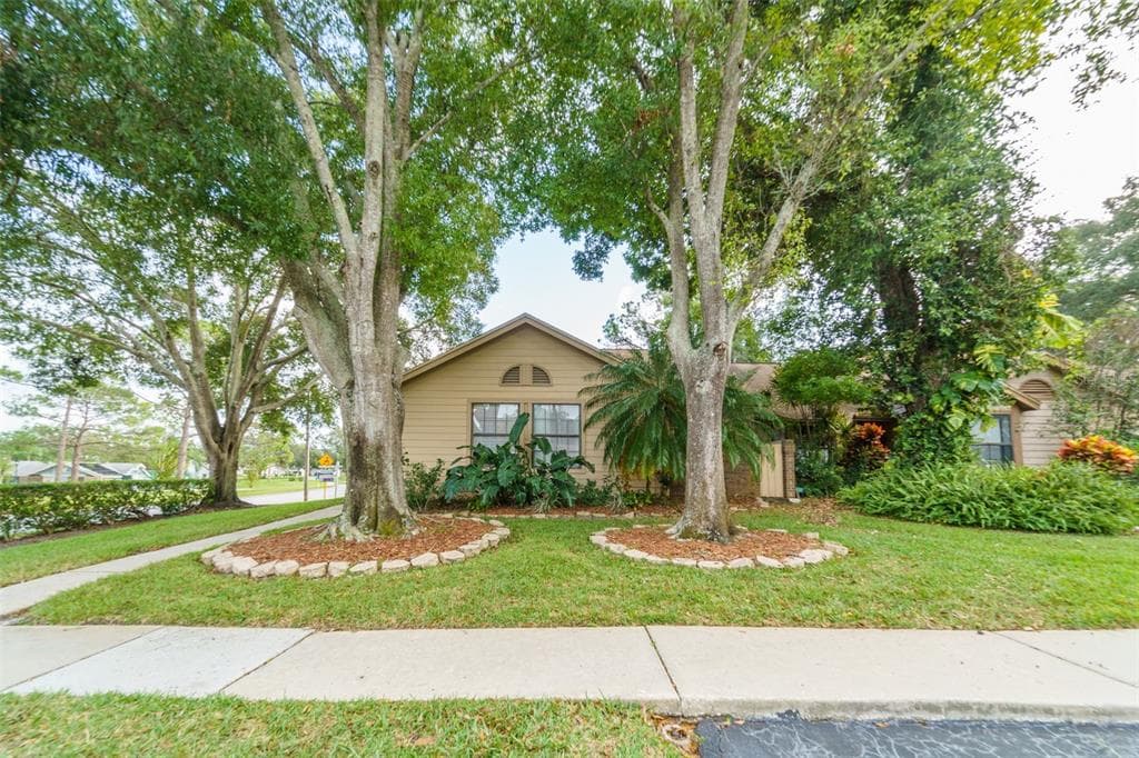 2566 BENTLEY DRIVE PALM HARBOR, FL 34684