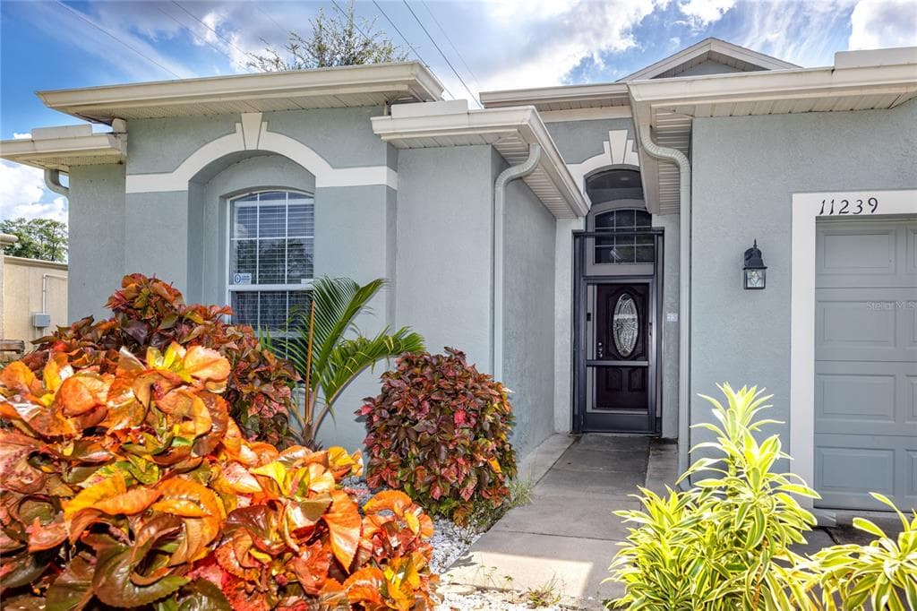11239 MADISON PARK DRIVE TAMPA, FL 33625