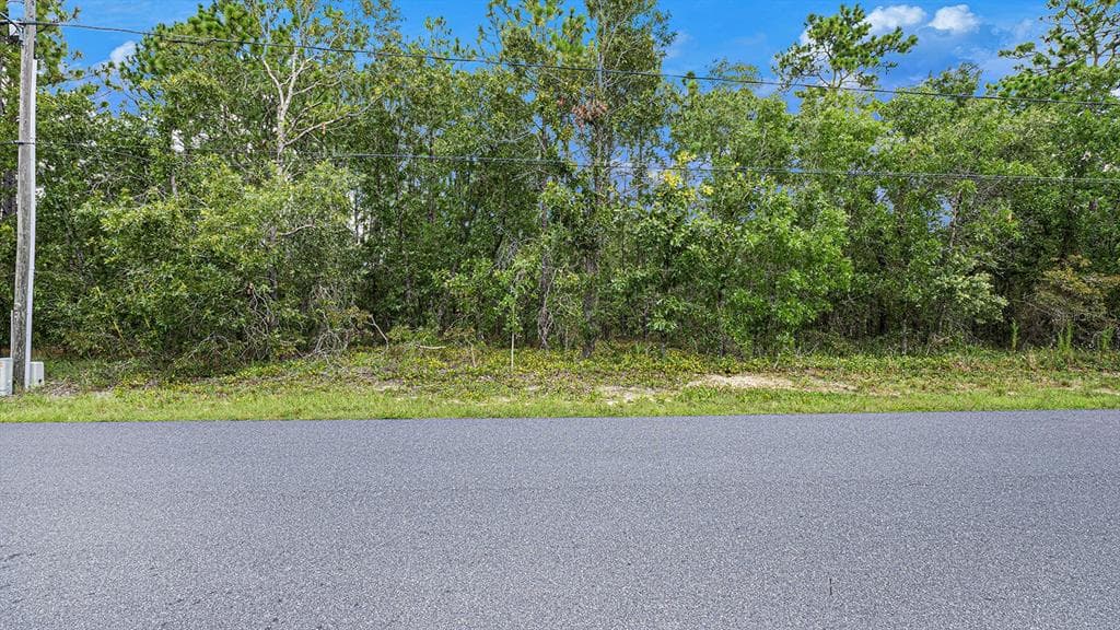10 BOXLEAF COURT HOMOSASSA, FL 34446
