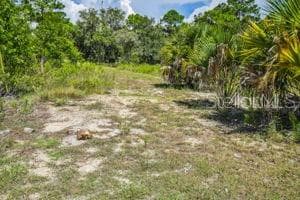 13346 LELANI DRIVE WEEKI WACHEE, FL 34614