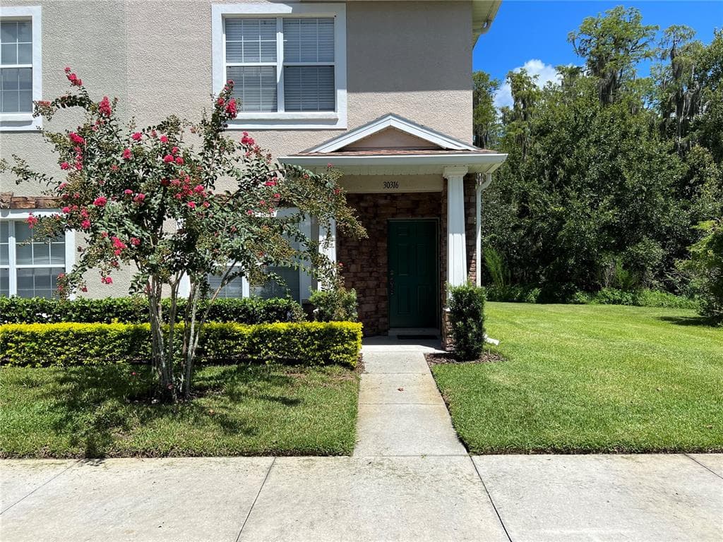 30316 ELDERWOOD DRIVE WESLEY CHAPEL, FL 33543