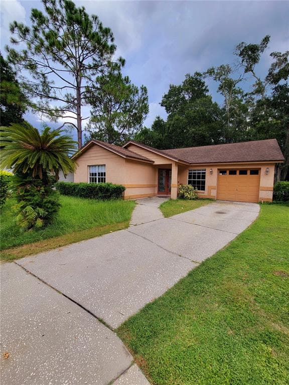 203 BENSON STREET VALRICO, FL 33594